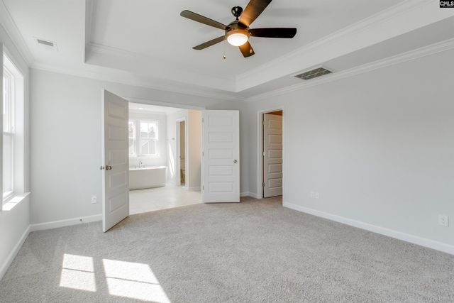 407 Rising Stream Way, Chapin, SC 29036