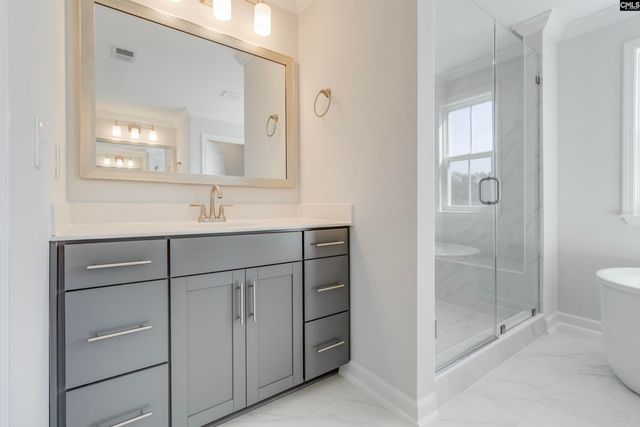 407 Rising Stream Way, Chapin, SC 29036