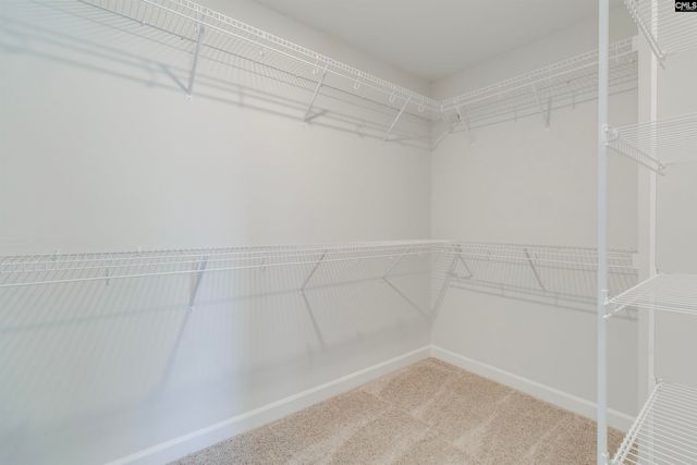 407 Rising Stream Way, Chapin, SC 29036