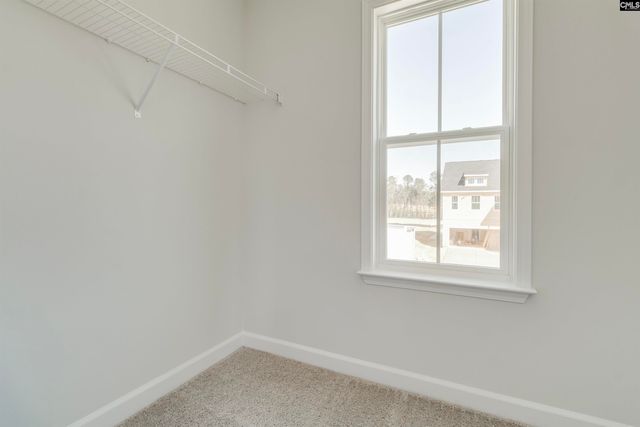 407 Rising Stream Way, Chapin, SC 29036