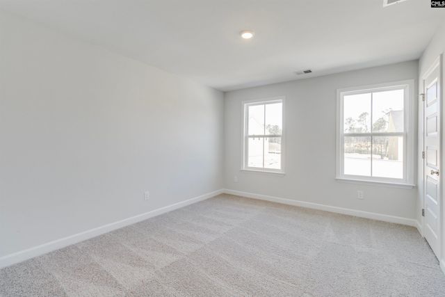 407 Rising Stream Way, Chapin, SC 29036