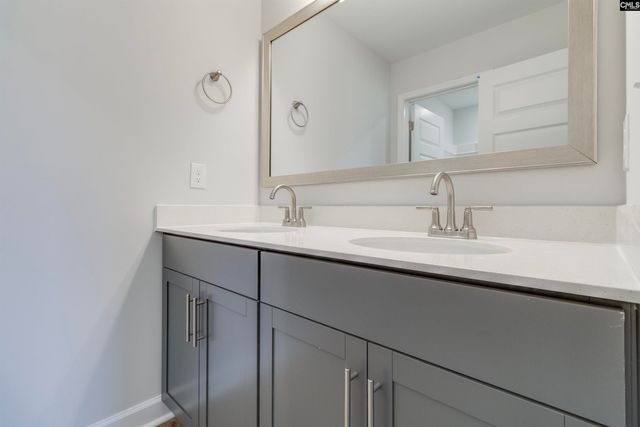 407 Rising Stream Way, Chapin, SC 29036