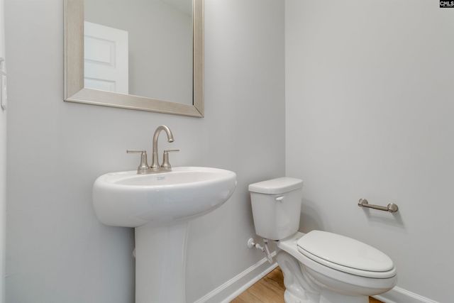 407 Rising Stream Way, Chapin, SC 29036