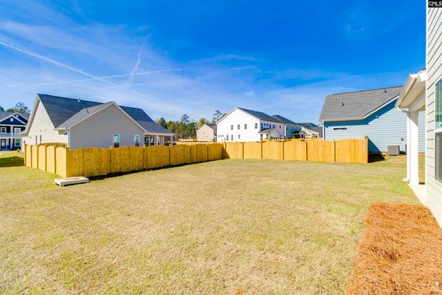 407 Rising Stream Way, Chapin, SC 29036