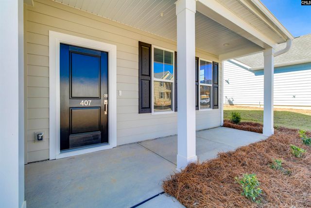 407 Rising Stream Way, Chapin, SC 29036
