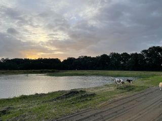 3170 Contentment Hall Road, Johns Island, SC 29455