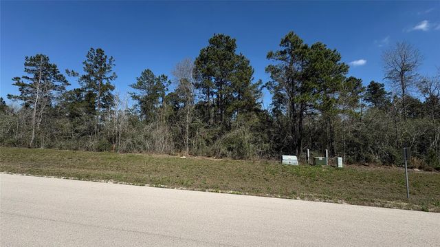 126 Great Plains Way, New Waverly, TX 77358