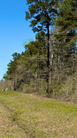 126 Great Plains Way, New Waverly, TX 77358