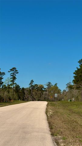 126 Great Plains Way, New Waverly, TX 77358