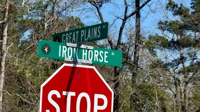 126 Great Plains Way, New Waverly, TX 77358