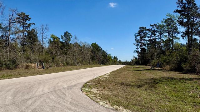 126 Great Plains Way, New Waverly, TX 77358