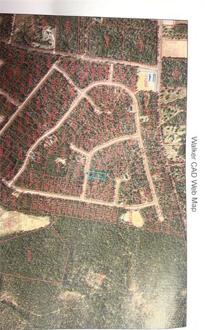 126 Great Plains Way, New Waverly, TX 77358