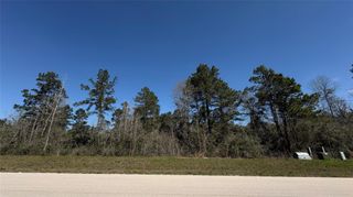 126 Great Plains Way, New Waverly, TX 77358