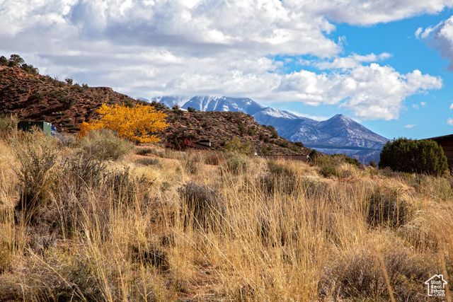 4170 VISTA ANTIGUA RD, Moab, UT 84532