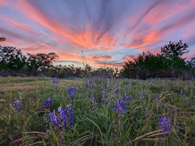 4006 Spanish Oak LN, Dripping Springs, TX 78620