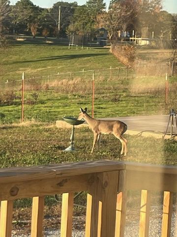 10881 Rainbow Ridge Road, Omaha, AR 72662