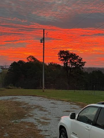 10881 Rainbow Ridge Road, Omaha, AR 72662