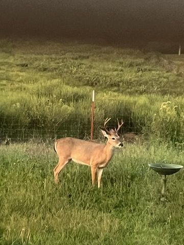 10881 Rainbow Ridge Road, Omaha, AR 72662