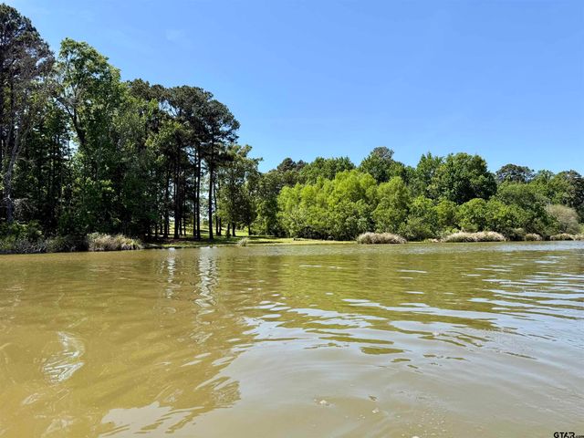 10196 CR 3202, Chandler, TX 75758