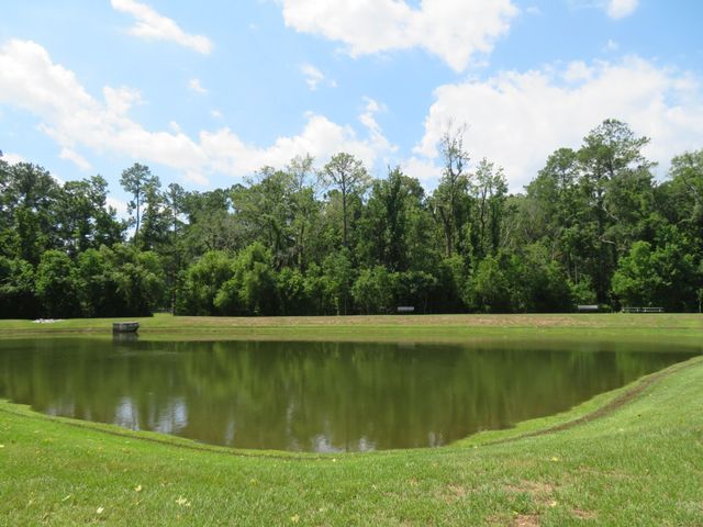 133 Country Oaks Lane, Charleston, SC 29492