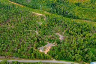 80.73 acres COUNTY ROAD 99, Wedowee, AL 36278