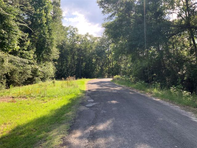 202 Spring Creek Loop, Livingston, TX 77351