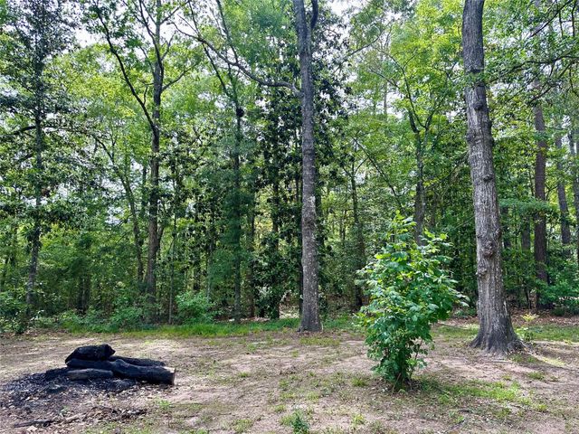 202 Spring Creek Loop, Livingston, TX 77351