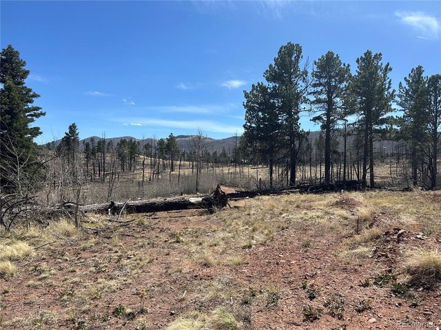 542 Forbes Park, Fort Garland, CO 81133