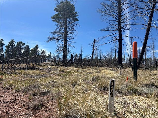 542 Forbes Park, Fort Garland, CO 81133