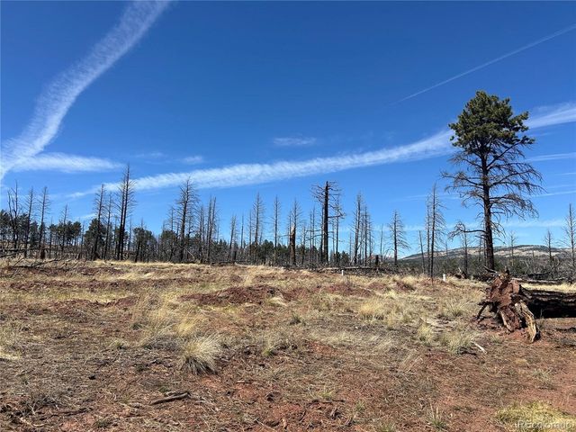 542 Forbes Park, Fort Garland, CO 81133