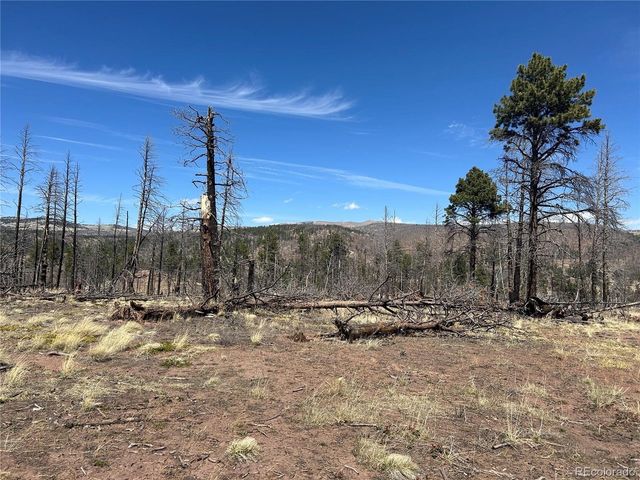 542 Forbes Park, Fort Garland, CO 81133