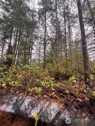 0 Tract 15 Dewatto Hills Road, Belfair, WA 98528