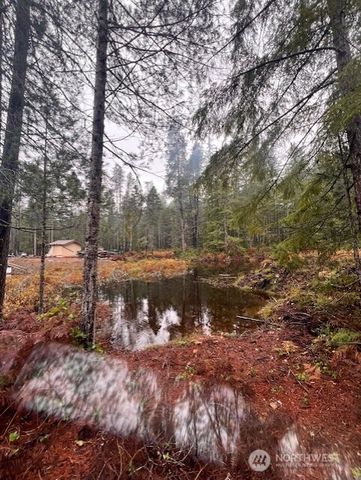 0 Tract 15 Dewatto Hills Road, Belfair, WA 98528