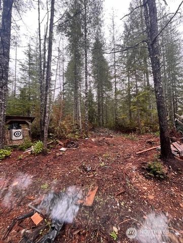 0 Tract 15 Dewatto Hills Road, Belfair, WA 98528