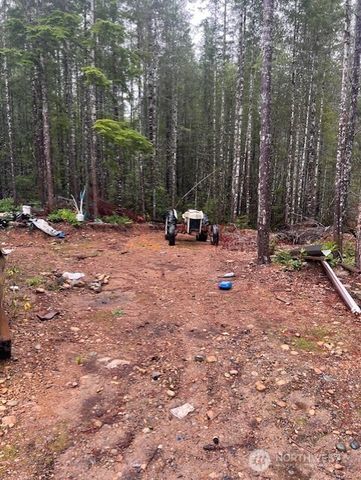 0 Tract 15 Dewatto Hills Road, Belfair, WA 98528