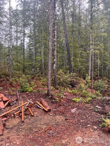 0 Tract 15 Dewatto Hills Road, Belfair, WA 98528