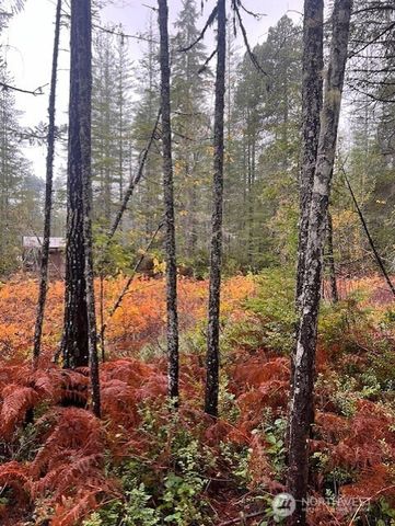 0 Tract 15 Dewatto Hills Road, Belfair, WA 98528