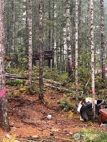 0 Tract 15 Dewatto Hills Road, Belfair, WA 98528