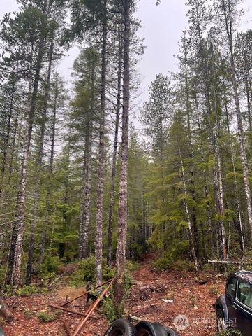 0 Tract 15 Dewatto Hills Road, Belfair, WA 98528