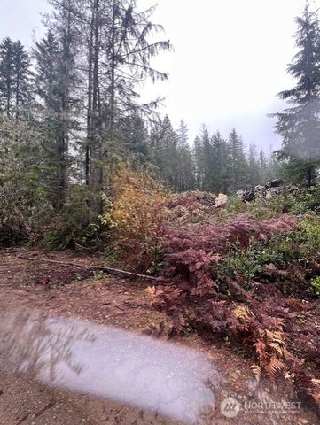 0 Tract 15 Dewatto Hills Road, Belfair, WA 98528