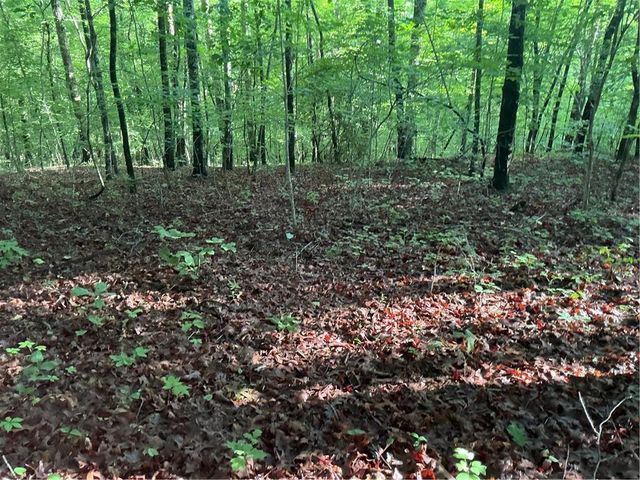 0 Mountain Brook Road, Dawsonville, GA 30534