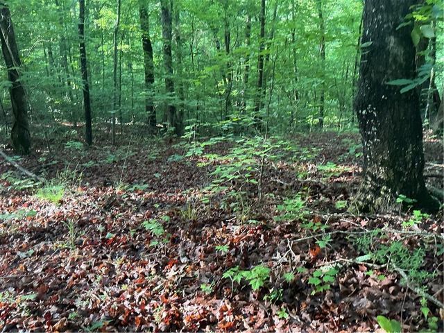 0 Mountain Brook Road, Dawsonville, GA 30534
