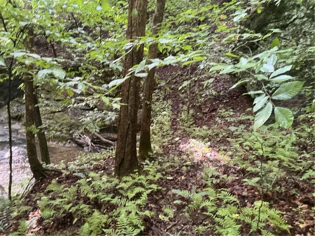 0 Mountain Brook Road, Dawsonville, GA 30534
