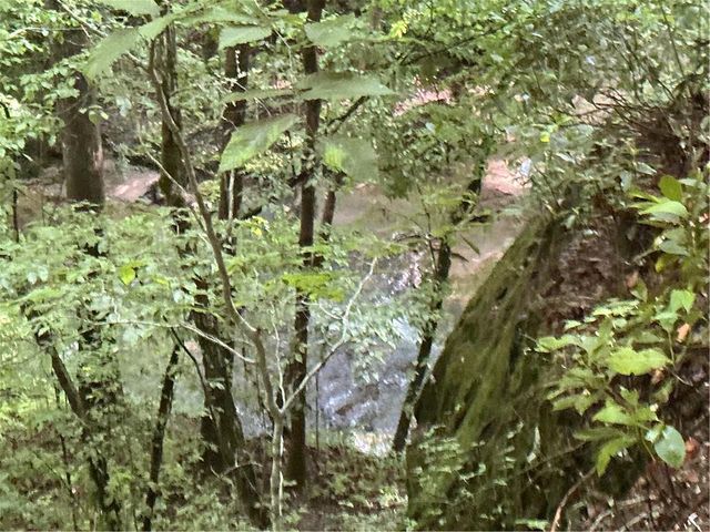 0 Mountain Brook Road, Dawsonville, GA 30534