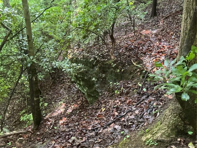 0 Mountain Brook Road, Dawsonville, GA 30534