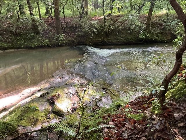 0 Mountain Brook Road, Dawsonville, GA 30534
