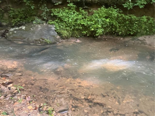 0 Mountain Brook Road, Dawsonville, GA 30534