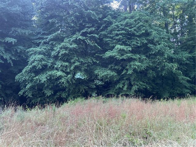 0 Mountain Brook Road, Dawsonville, GA 30534
