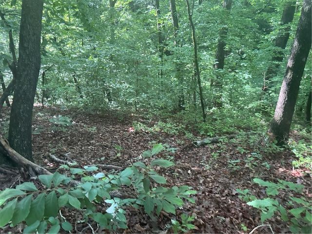0 Mountain Brook Road, Dawsonville, GA 30534