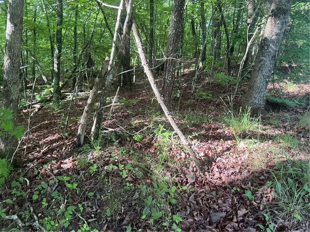 0 Mountain Brook Road, Dawsonville, GA 30534